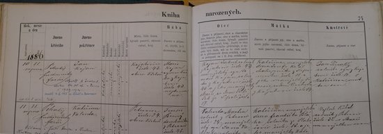 Register of Briths